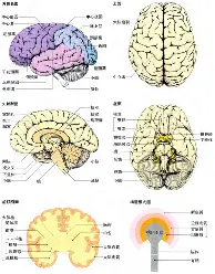 APP下载- 利物浦40巴塞罗那全场录像 